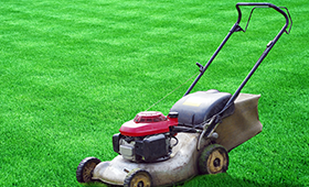 Category - Lawn care